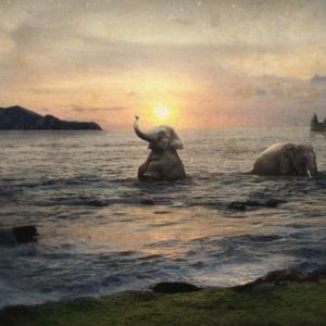 Meet your Posher, Candicane